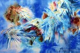 by Shirley Charlton