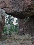 by Debra Kott
