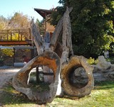 by Debra Kott