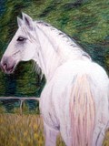 by Pamela Becker