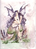 by Melissa Franklin