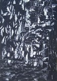 by Dawn Giunta