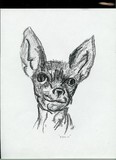 by kelli kline