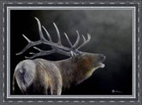 by Bill Cullum