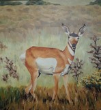 by JAN GREEN