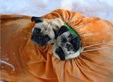by Bea Glass