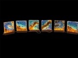 by Pam Sheldon