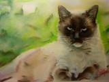 by moraima tinajero
