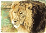 by Mary-Anne harding