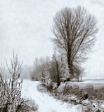 by Pavel Potocek