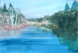 by Maria A. Bales