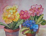 by Maria A. Bales