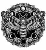 by Janelle Dimmett