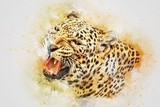 by graham rhodes