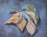 by Irina Stroup