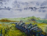 by alan thomson
