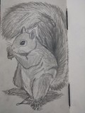 by refael degorker