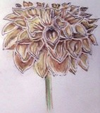 by Dana Koffenberger
