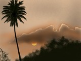by savio dantas