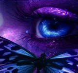 by Denise Catino