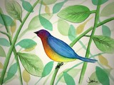 by Janie Pini