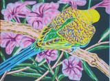 by Susan Marie Pieri