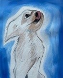 by Jennifer Taricani