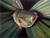 by Tonia Osborn