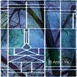 by Anne Vis
