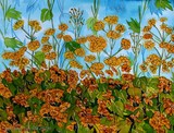by Nira Dabush