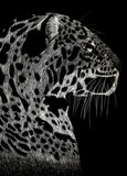 by Kenan Canales