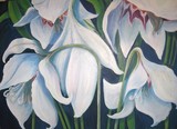 by Eileen Kasprick