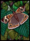 by Kelli Sparks
