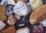 by Joyce Geleynse