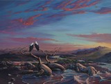 by Pieter Van Tonder