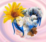 by Melanie logan