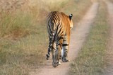 by Vishwas Kumar