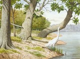 by Gerard Johnson II