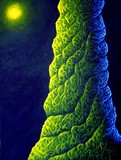 by Jeroen van Valkenburg