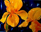 by Nelly van Nieuwenhuijzen