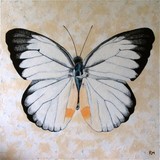 by ria van meijeren