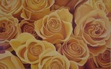 by ria van meijeren