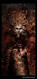 by Shawn McDonald