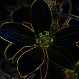 by Debbie Mathews