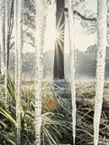 by VELYKIO - gintautas velykis -