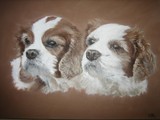 by Kathryn Lewis