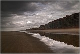 by wim denijs