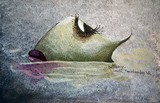 by Sophie Library