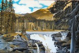 by Sandy Dewar