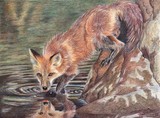 by Valentina Gatewood